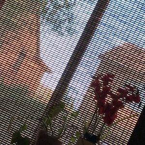 Meet your Posher, Makayla